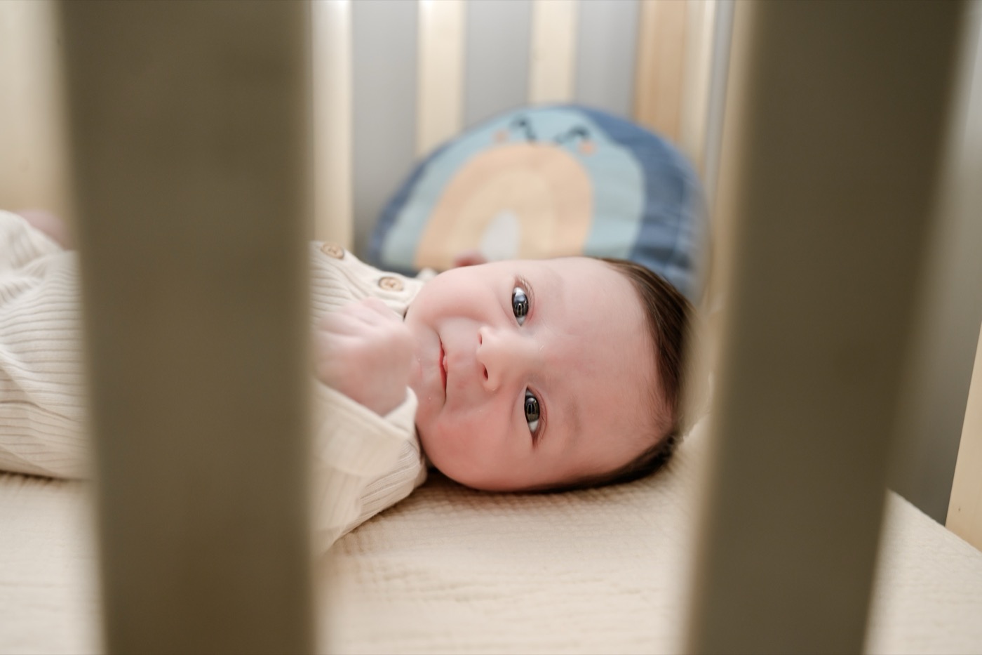 Baby Haney — detail shot
